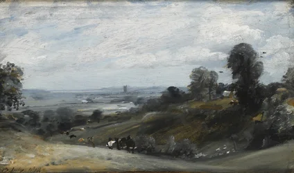 Dedham Vale z Langham, XIX wiek